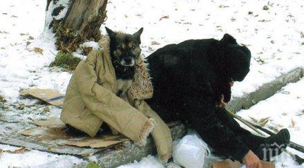 кризисни центрове работят денонощно софия заради понижението температурите