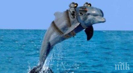 опазването делфините общ проект българия турция румъния украйна