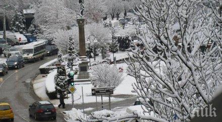 студ живакът севлиево замръзна минус градуса