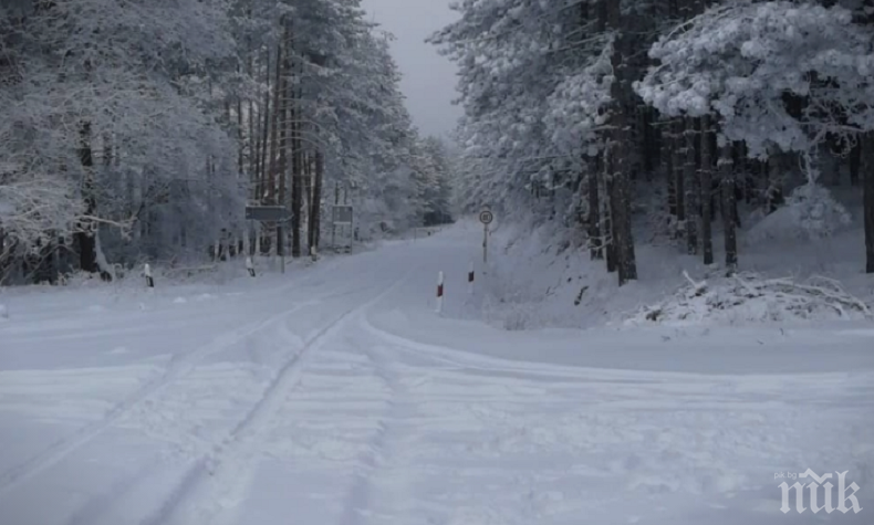 Първа жертва на студа в Албания