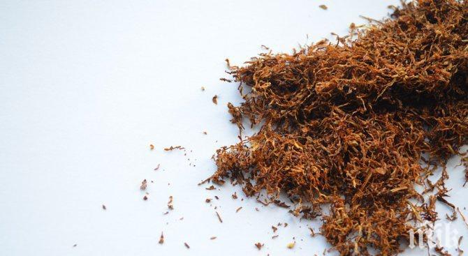 Заловиха тийнейджърка с пликове нелегален тютюн
