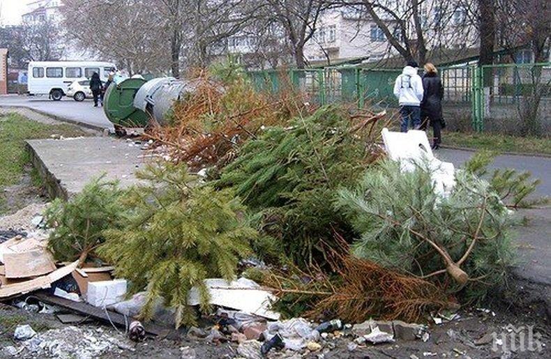 ПРИЗИВ: Не изхвърляйте елхите в кофите за боклук