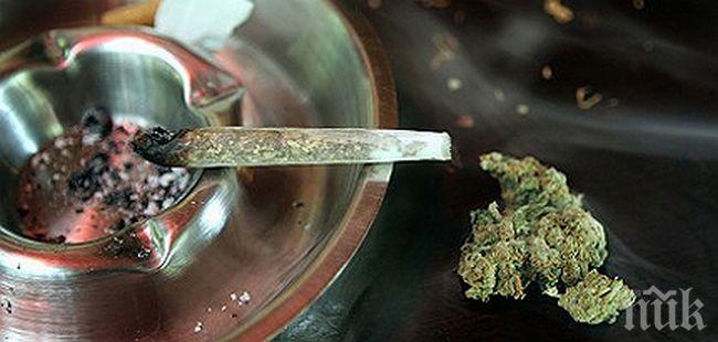 Купон с марихуана свърши в ареста за 21-годишен младеж