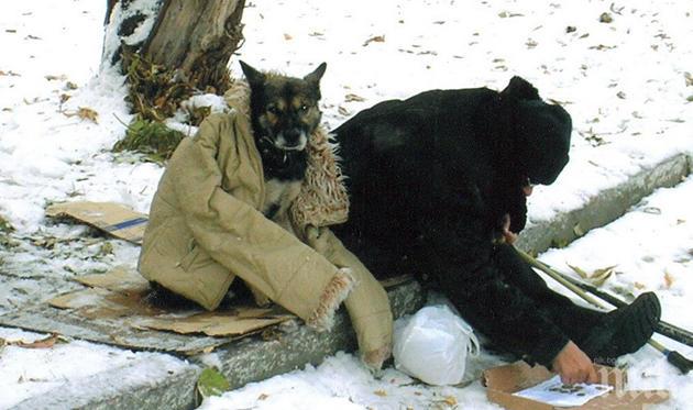 Кризисни центрове ще работят денонощно в София заради понижението на температурите