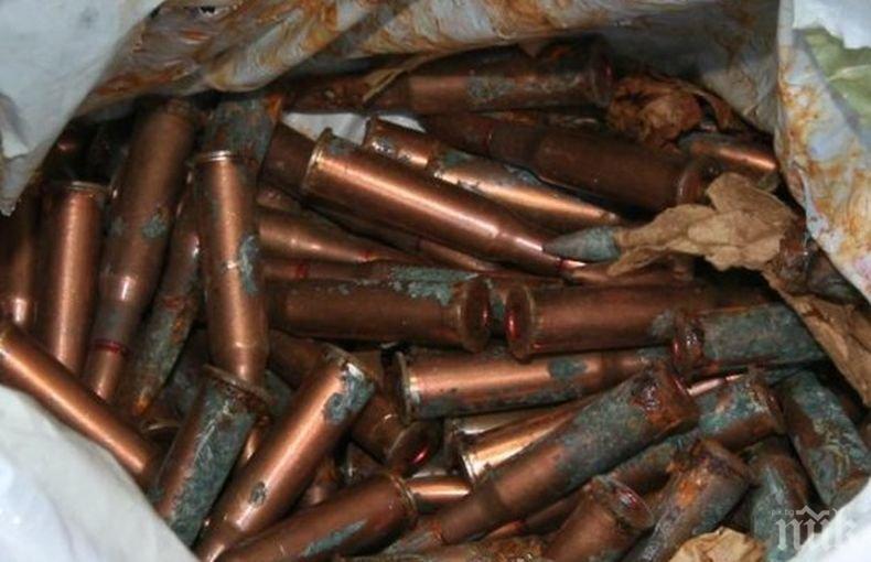 Акция: Полицията иззе сериозно количество боеприпаси от дом на жена в Криводол