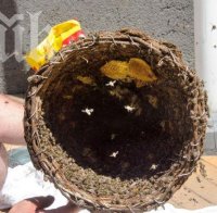 Свалиха кошер от фасадата на Агенцията по заетостта (Снимки)