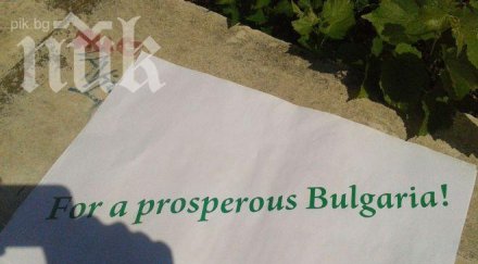 протестиращи съдраха плакатите агитка орешарски