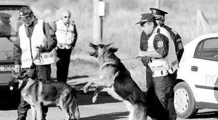 кучета криминалисти ловят дилъри слънчев бряг