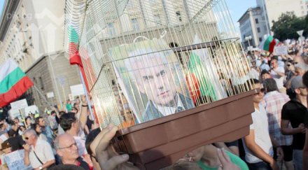 вкараха волен самостоятелна клетка местан отделна снимки