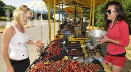 черешопроизводители вдигат бунт прекупвачите