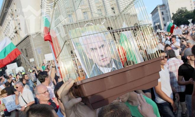 Вкараха Волен в самостоятелна клетка, Местан в отделна (Снимки)