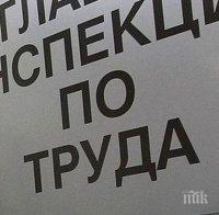 До 15 дни ще е срокът за издаване на визи за сезонни работници 
