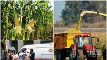 УЖАСЯВАЩО: Трактор прегази наша гурбетчийка - Мая заминала за Франция, след като загубила майка и брат