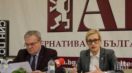 абв необходима нова стратегия развитие енергийния сектор визия поне 2040