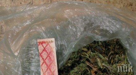 сдвр атака наркодилър сгащен клиентка софия