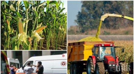 ужасяващо трактор прегази наша гурбетчийка мая заминала франция загубила майка брат