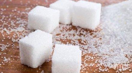 британските деца учат намаляват захарта храните