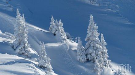 родители калявате детето зимата