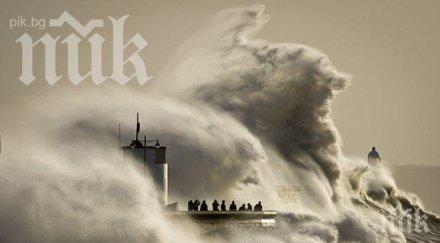 глобален катаклизъм давят топли океани