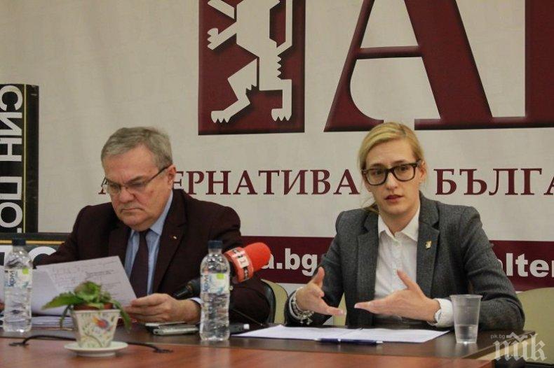 АБВ: Необходима ни е нова стратегия за развитие на енергийния сектор с визия поне до 2040 г.