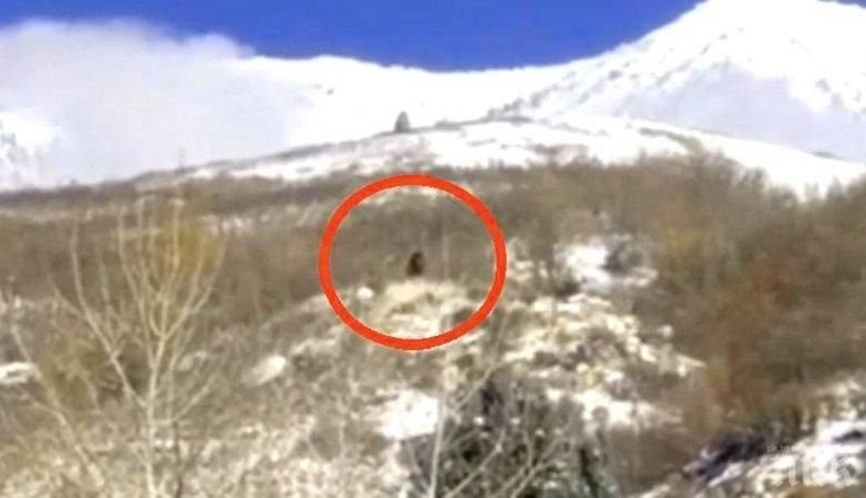 СМРАЗЯВАЩО ВИДЕО: Пътешественици от Юта снимаха Йети