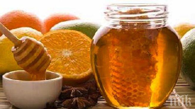 ВМРО иска промени в Закона за пчеларството
