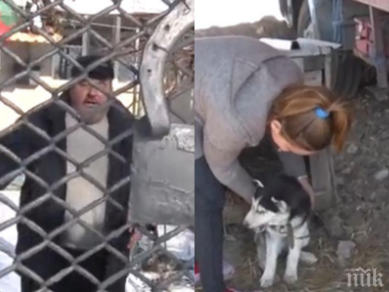 НАРОДЕН ГНЯВ: Селски кмет разстреля домашни кучета, социалните мрежи настръхнаха