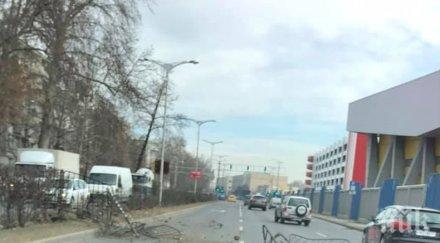 меле бмв размаза челно дърво снимки