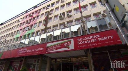 пленумът бсп прие визия българия