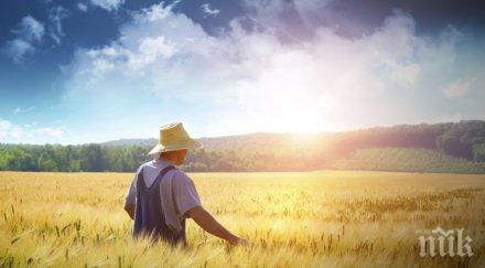 моментът планирайте една добра делова година