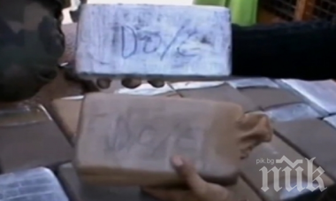 РЕКОРД: Три тона марихуана заловиха в Испания