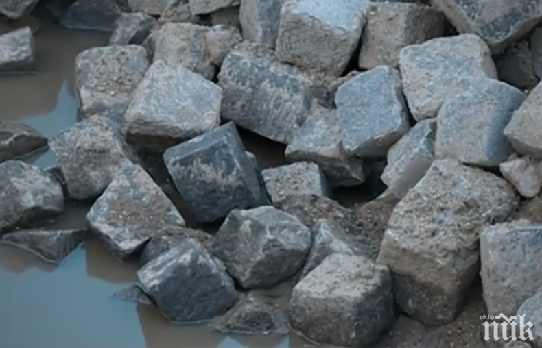 Мъж с паве нахлу в кметството на Балчик