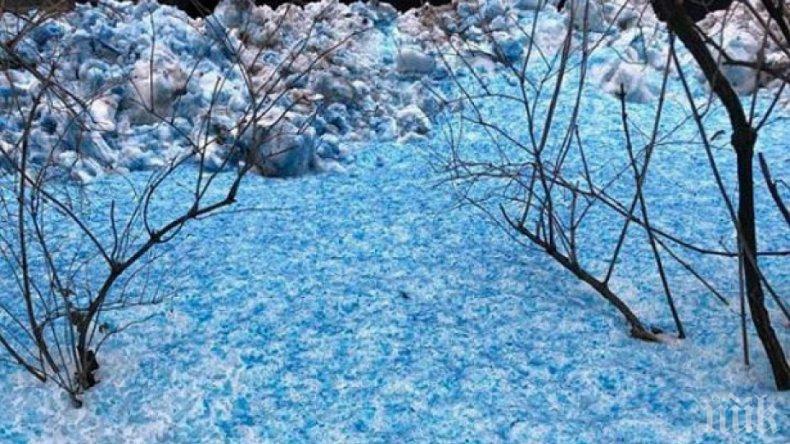 Снегът взе поредна жертва в Албания - 53-годишен мъж тръгна с магарето си, но се върна само то