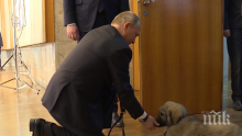 УНИКАЛНО ВИДЕО: Ето как реагира Владимир Путин на подаръка на Александър Вучич