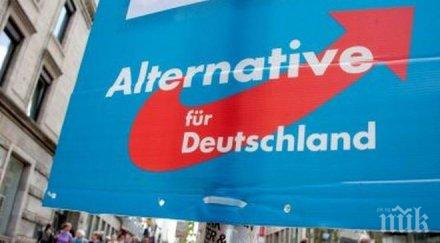 федералните служби разследват алтернатива германия