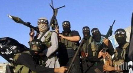 русия доказателства връзки сащ ислямска държава