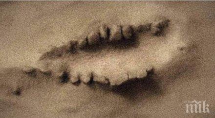 невероятно марсианци построили светилище формата уста видео