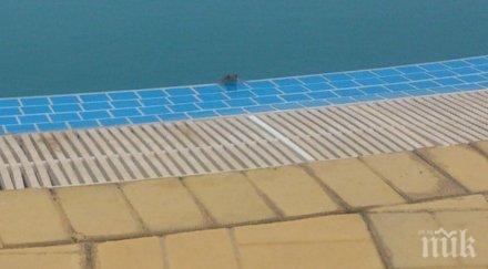 родители недоволстват мръсен общински басейн