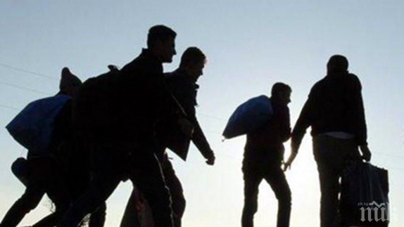 Франция спипа 15 нелегални мигранти в бус, каран от българин
