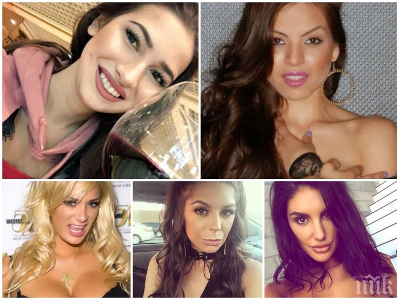 ЗАГУБА: Мистериозна смърт покоси красиви порнозвезди през 2018 г.