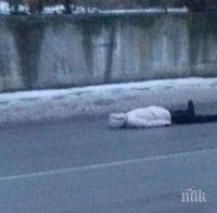 Психичноболна жена лежи на пътя в Бобов дол, за да й дадат пари