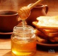 ЛОШО: Изкупните цени на меда се сринаха