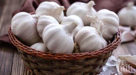 мислим знаем крие лечебната сила чесъна