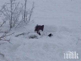самаряни младежи спасиха възрастна жена бяла смърт