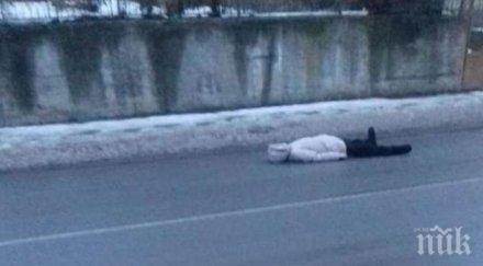 карайте внимателно психично болна жена лежи насред пътя бобов дол иска пари