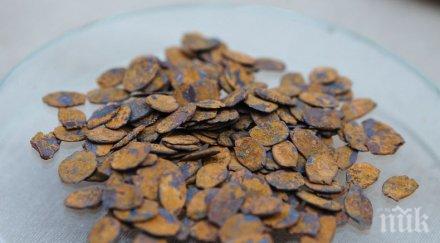 находка центъра ташкент откриха старинно съкровище стойност млн долара