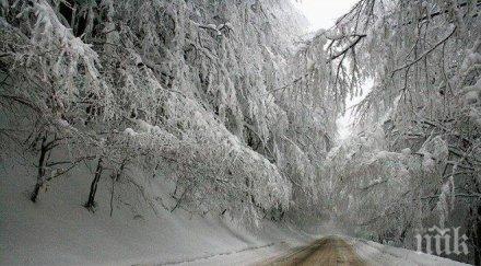 берковчани събират бистрят тунела петрохан