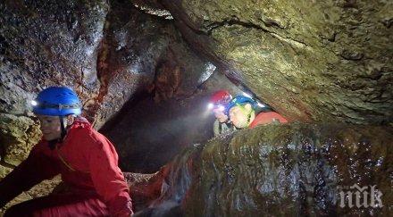 състезатели фенери пробягаха изба лабиринт