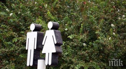 шок 700 белгийци сменили пола изминалата година