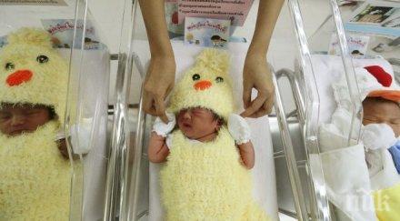 тревожно ниската раждаемост вече трайна тенденция нас